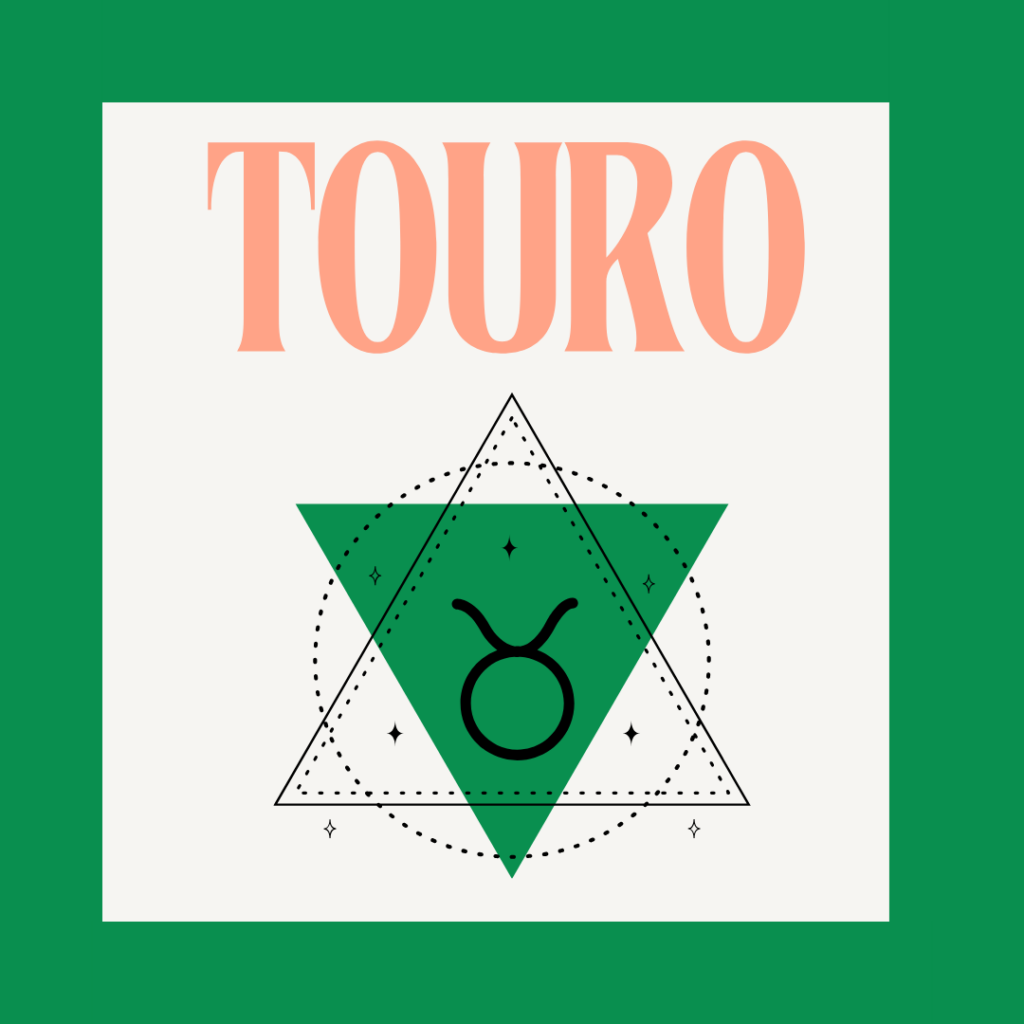 Os Moks inspirados no signo Touro!